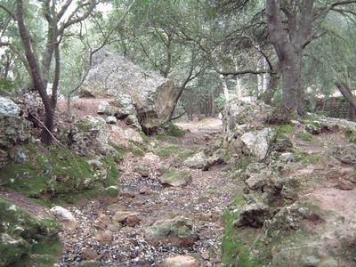 DSCF0093.JPG